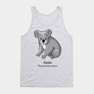 Endangered animals of Australia – Koala (Phascolarctos cinereus) Tank Top